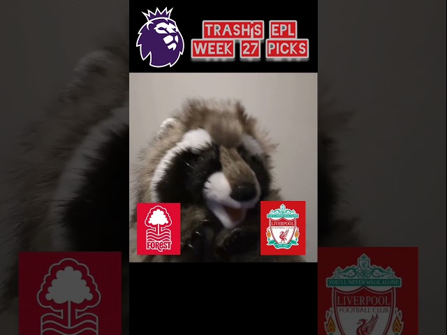 EPL Predictions Nottingham Forest vs Liverpool