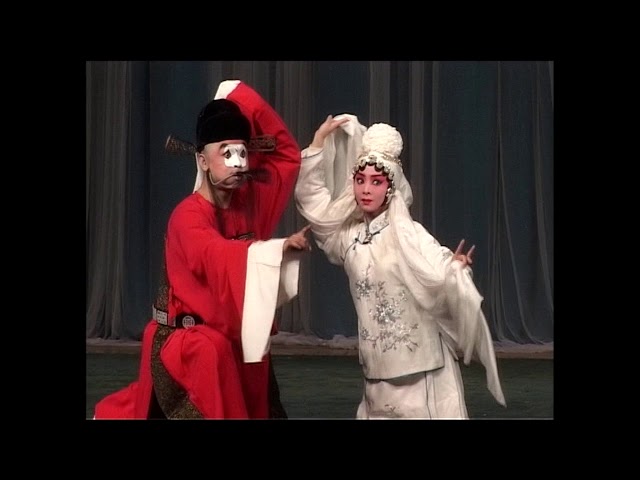 Young Widow Got Her Husband Back—Beijing Opera