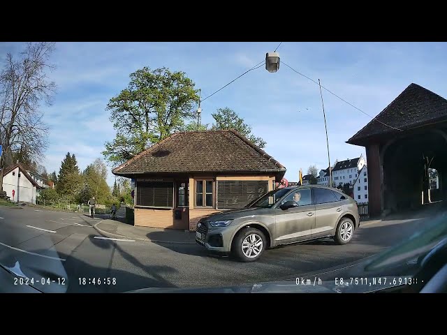 Rheinbrücke und Diessenhofen