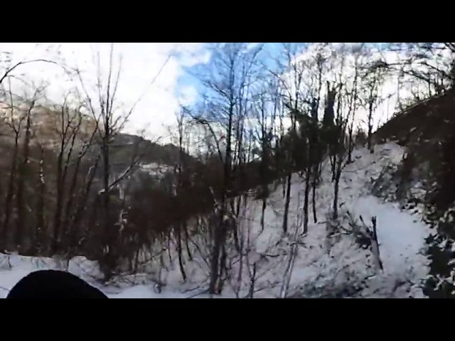 Passeggiata nel Bosco a 360°