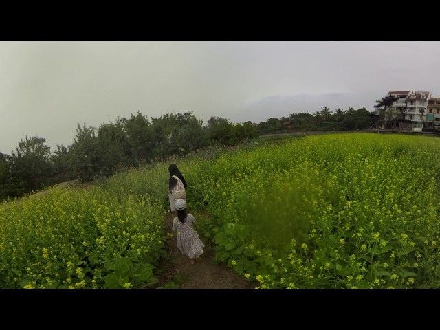 Moment pensieve 2016: Cốm và mẹ đồng hoa cải