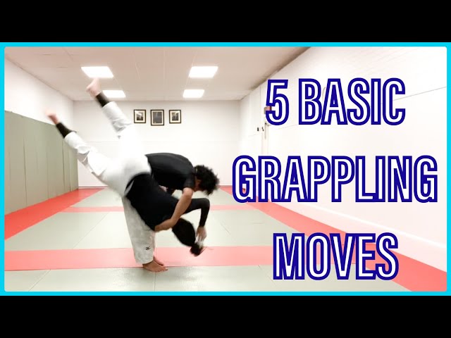 5 basic grappling techniques