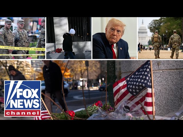 Tragedy in DC leaves politicians searching for answers