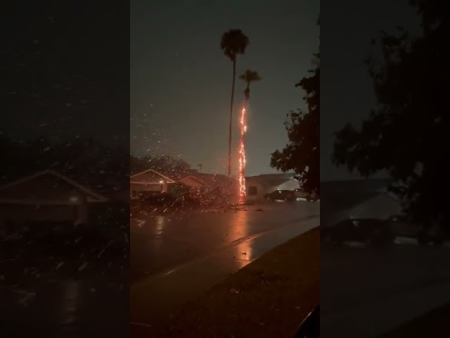 Lightning Strike Sets Tree On Fire In Scottsdale, AZ During Storms