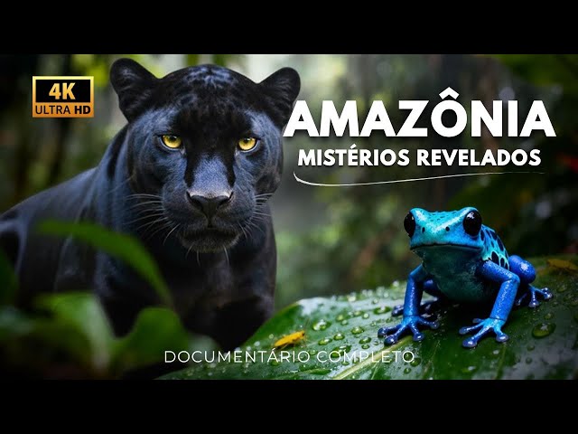 AMAZON JUNGLE: Secrets of the Most Impressive Creatures on the Planet | Full Documentary