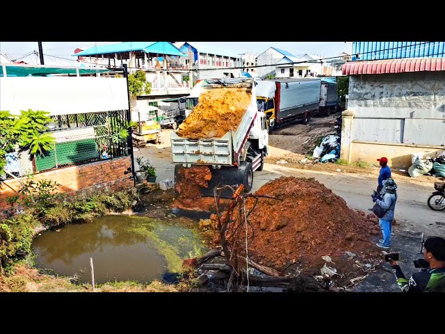 Amazing Start New Project! Dump Truck Unloading soil Delete Garbage With Mini Bulldozer