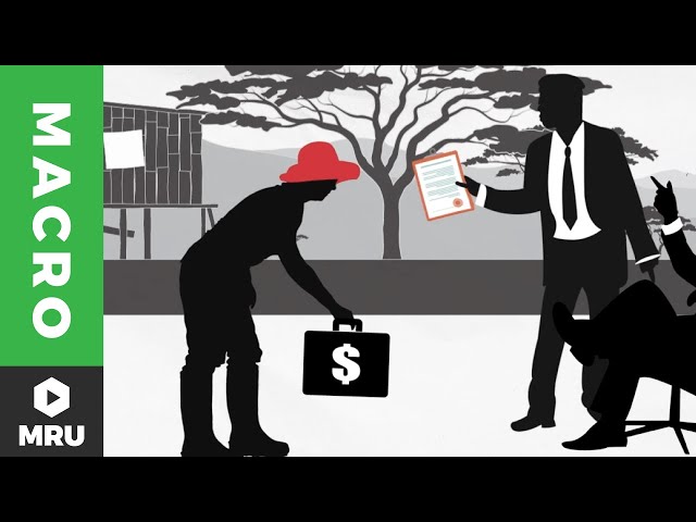 Puzzle of Growth: Rich Countries and Poor Countries