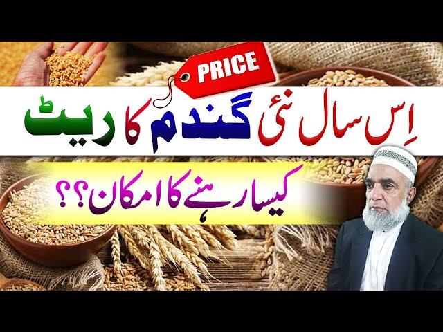 Expected Rate Forecast for Wheat Crop 2026 || Crop Reformer