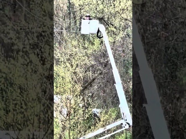 The #1 Power Line River Crossing Technique You Need to Know NOW