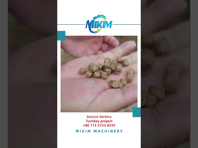 How to build a Aquaculture Extruded Pellet Feed Production Line? #fishfeedproductionline