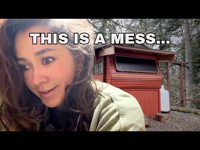 Starting over at 43… and it’s a mess