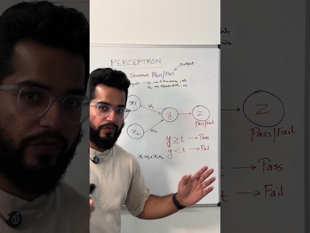 Perceptron Explained