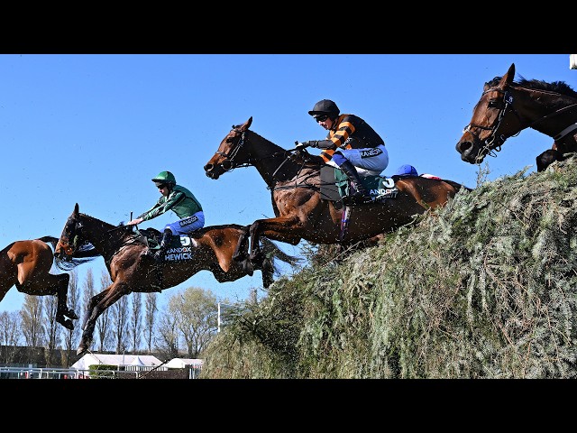 Raceday welfare at the Grand National Festival