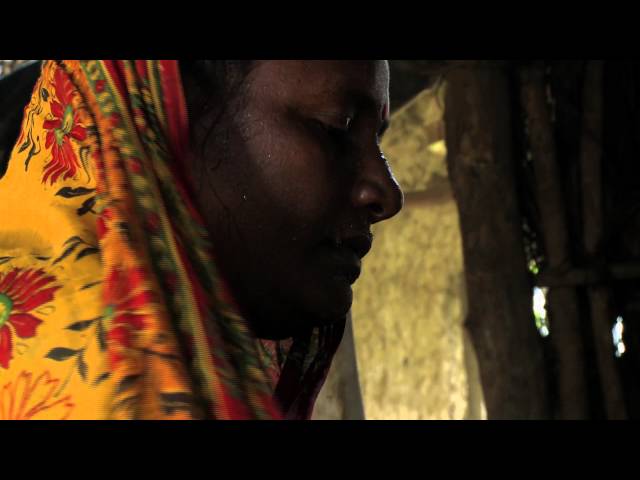 Livelihoods mangrove restoration project in the Sundarbans - India