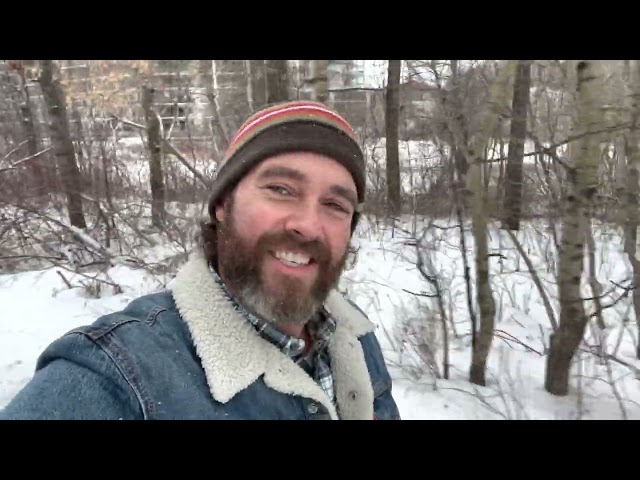 Insurance claim denials