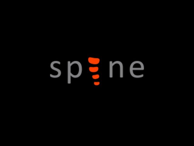 Spine PRO 2D