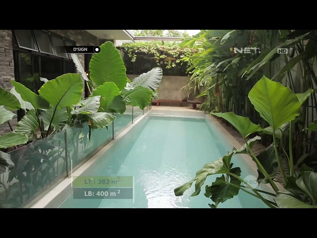 D'Sign - Tropical Paradise