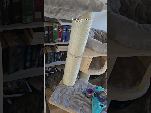 Was hat apollo gelesen?! #katzen