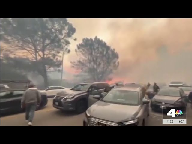 NBCLA goes back to a site of Palisades Fire, one year later