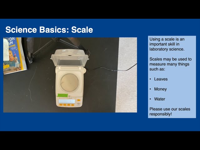 Science Basics: Scale