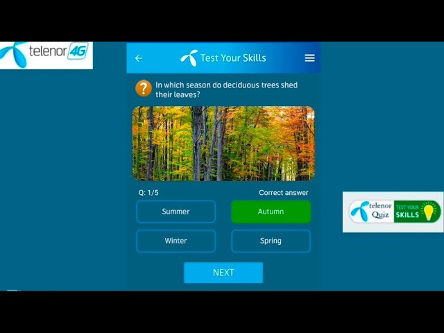30 October 2025 telenor questions and answers|telenor today questions|test your skills