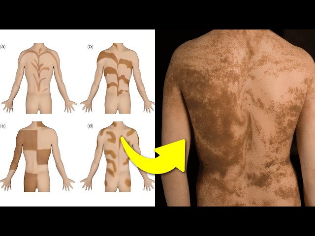 25 Things You Didn't Know in 5 Minutes!! ⏰😲 [265]