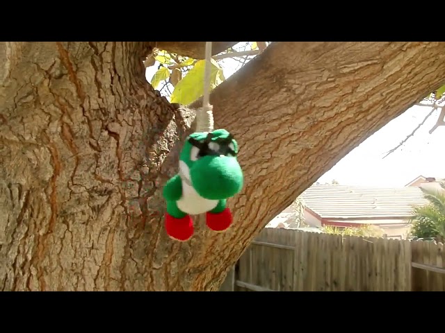 Yoshi being hanged for 10 minutes