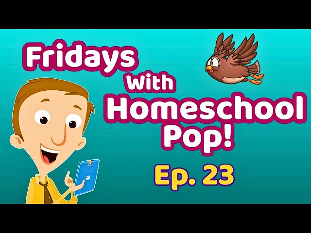 Can Owls Really Fly Almost Silently?