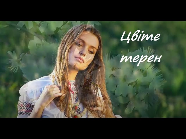 Цвіте терен - ILLARIA - Українська народна пісня - Ukrainian folk song - Украинская народная песня