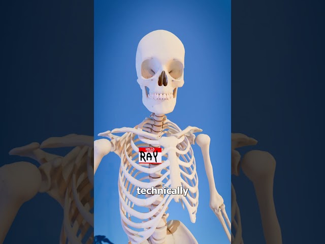 The Ship Of Theseus Paradox 😵‍💫