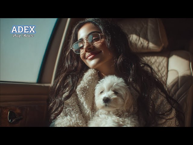 Adex - New Best Mix | Deep House,Retro Songs,Italo Disco 2026