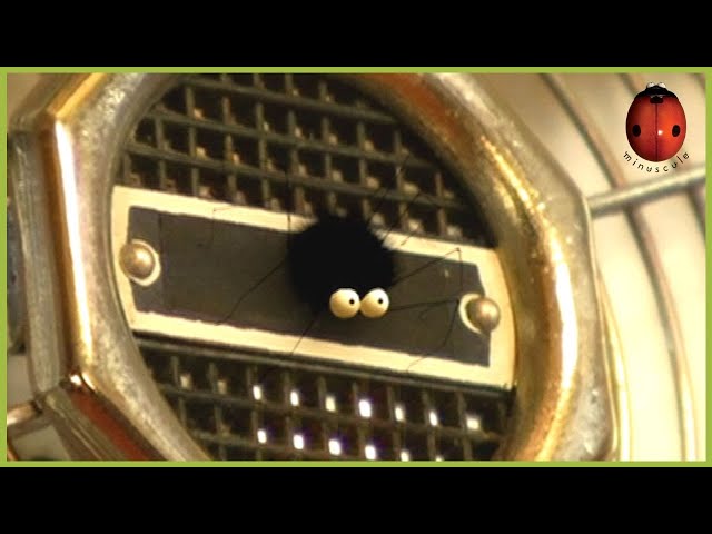 Windswept | Minuscule 🍃 30' Compilation