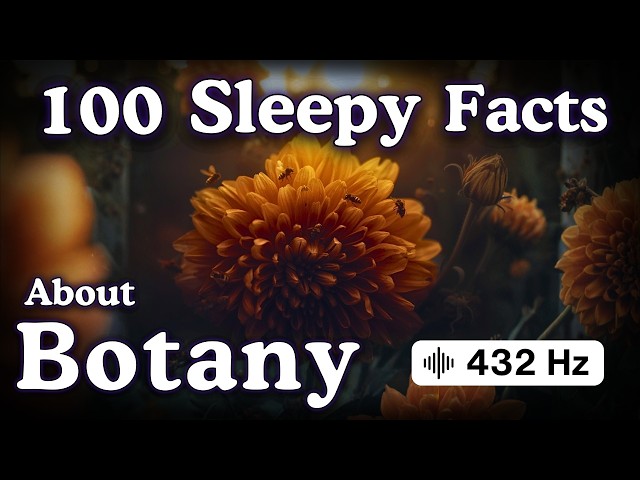 The Most Relaxing Facts About Botany to Fall Asleep To — No Adverts
