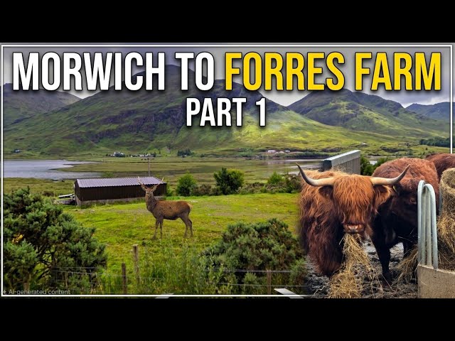 Trucking_Jason is live