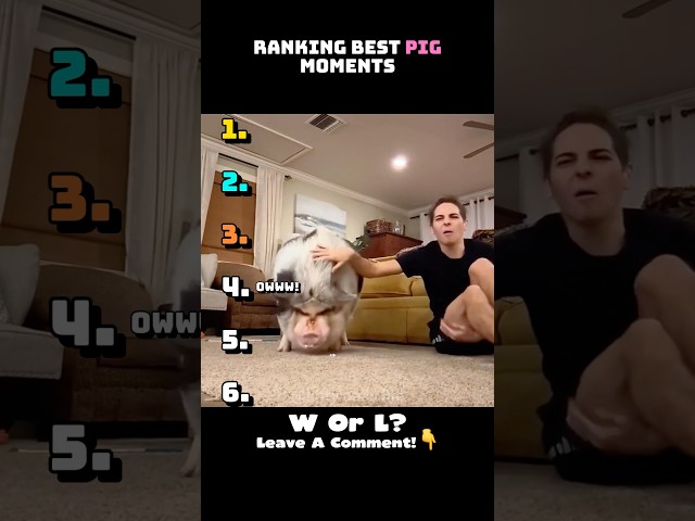 Best Pig Moments😂 #shorts