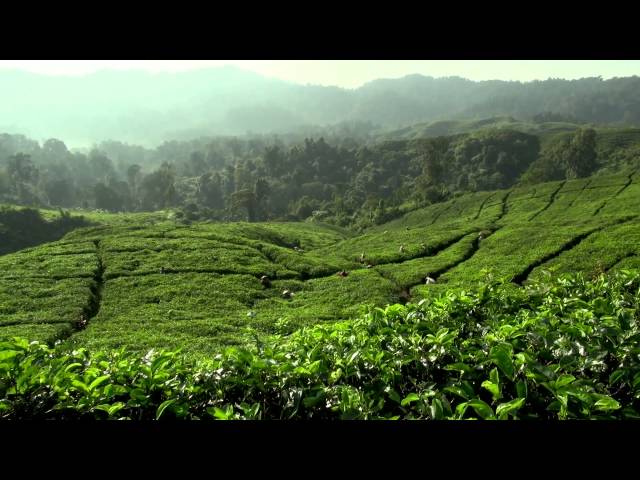 The Landscape Approach: A Case Study