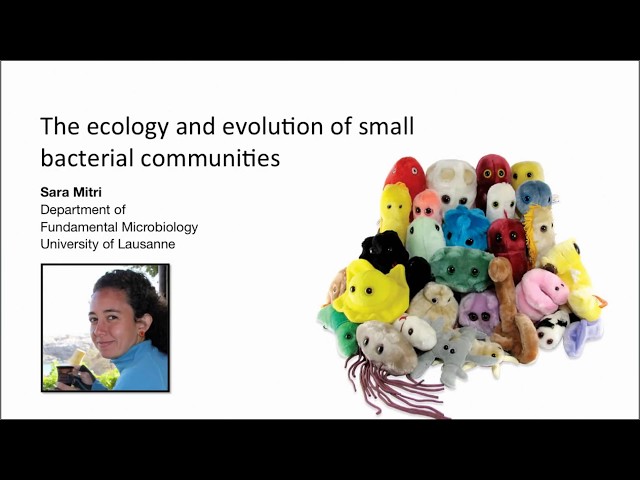 Sara Mitri: The ecology and evolution of small bacterial communities