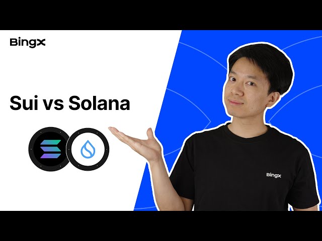 Sui vs. Solana: A Deep Dive Between Top Layer-1 Blockchains