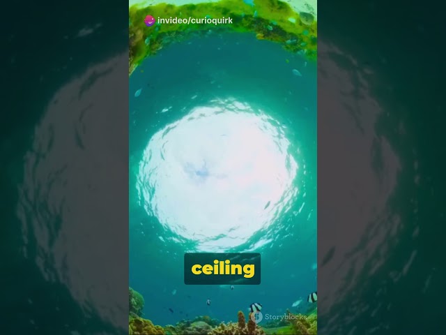 Top 5 Mind Blowing Destinations You Never Knew!