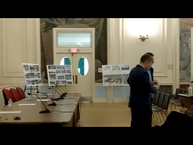 Waltham Master Plan Public Input: Ward 7