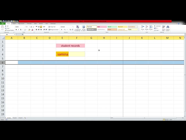 Microsoft Excel Basics