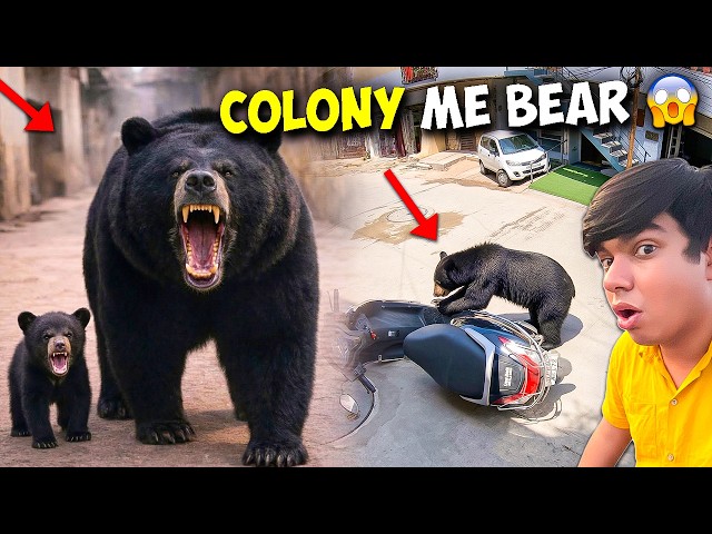 Big Bear Colony Me Ghuss Gayi 😱 भालू कॉलोनी में घुस गई 🐻 | Scooty Tod Di 🚨 2 Lakh Nuksaan 💔