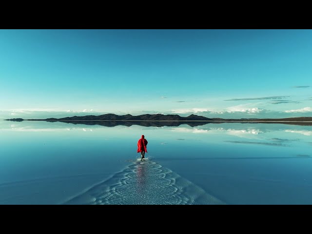 Mogli - paradox (official visualizer)