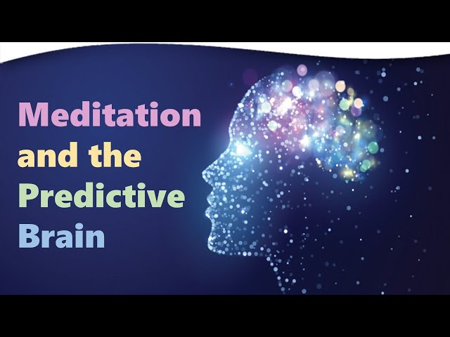 The True Nature of Now: Meditation and the Predictive Brain | Ruben Laukkonen, Ph.D.