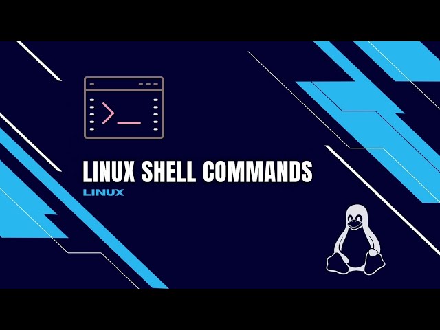 Linux Shell Commands Tutorial for Absolute Beginners (Part 2/2)