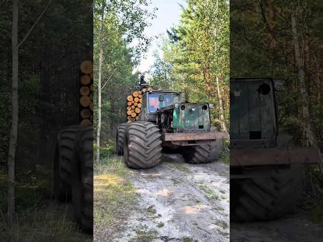 MONSTER ☠️ 🚜 Beautiful Tractors #tractor #forestfarming #farming #fendt  #woodworking #zetor