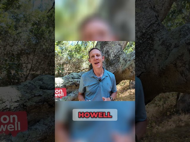 Pixel 10: First Look at Google's Human Android Design #shorts