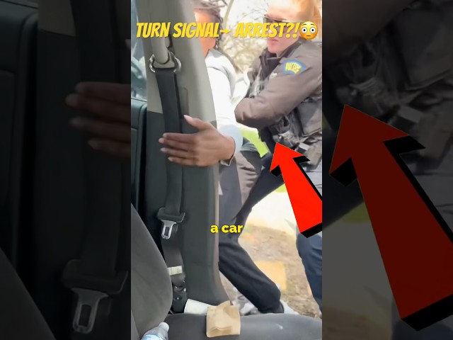 They Arrested Him Over This #cops #traffic