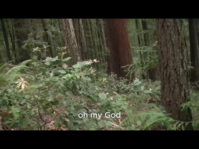 BIGFOOT IN 4K