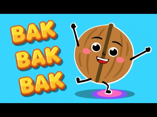 CEVİZ ADAM BAK BAK BAK - CEVİZ ADAM ŞARKISI - CEVİZ ADAM ŞİP ŞAP ŞOP